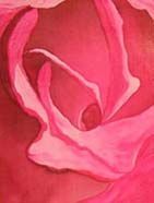 L'artiste Lux - Rose Rose
