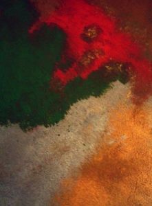 Artiste Rabah BENDIF