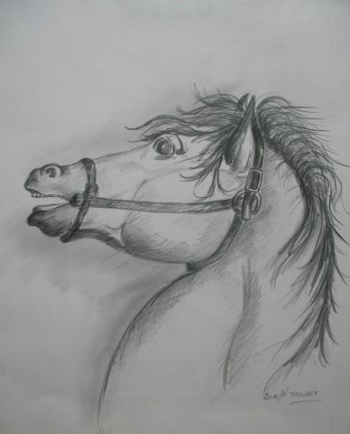 cheval de profil - Peinture - natal