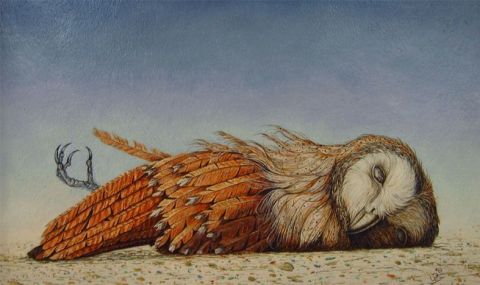 dead owl - Peinture - Uko Post