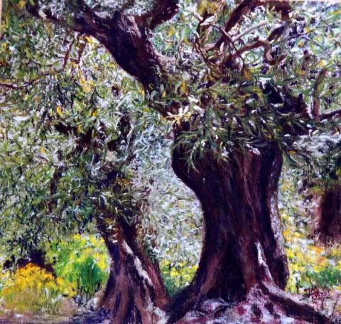 Les oliviers - Peinture - ghighi