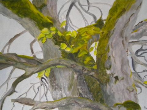 L'artiste Michelle Girardot  - feux d'artifice de branches