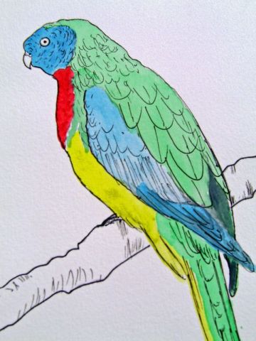 PERRUCHE parakeet  - Peinture - LODYA