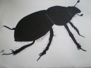 Voir cette oeuvre de REITER Nicole: scarabée