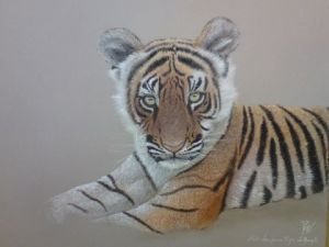 Voir cette oeuvre de georges rossi: étude de tigron
