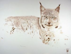 Voir cette oeuvre de georges rossi: lynx de Sibérie