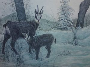Voir cette oeuvre de georges rossi: chamois en hivers