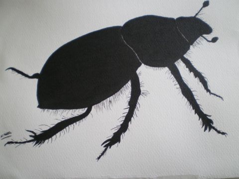 scarabée - Peinture - REITER Nicole