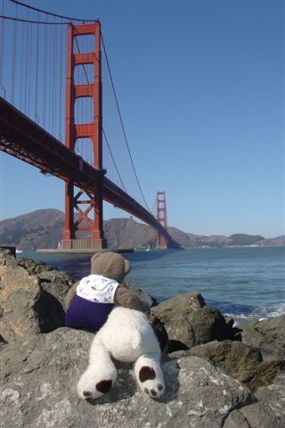 Nounours et Isidor à San Francisco - Photo - FABIO SKULL