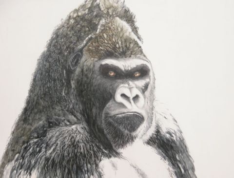 L'artiste georges rossi - platon le gorille ..