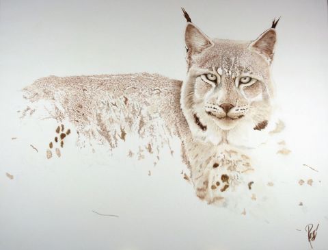 L'artiste georges rossi - lynx de Sibérie