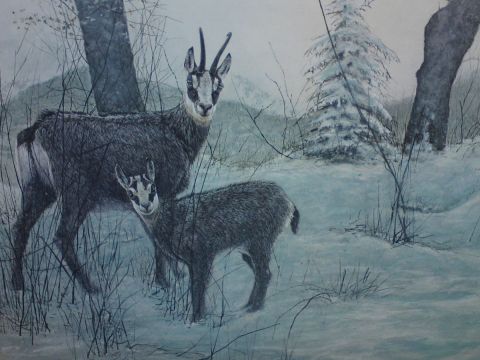 L'artiste georges rossi - chamois en hivers