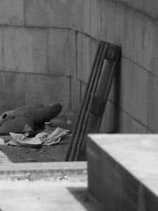 Artiste Butterfly Photographie