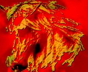 Artiste stefano pillitteri