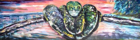 serpent corallus canninus - Peinture - 3'Rego Monteiro