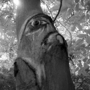 Voir cette oeuvre de Paul BENICHOU: l'arbre totem