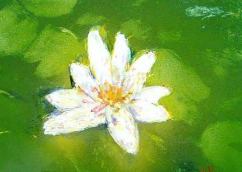 L'artiste Alex - fleur de lotus