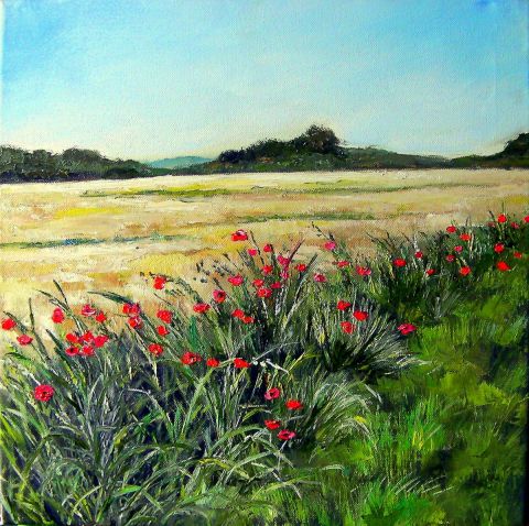Coquelicots près de chez moi - Peinture - Didier watrin Coquelicots près de chez moi - Peinture - Didier watrin