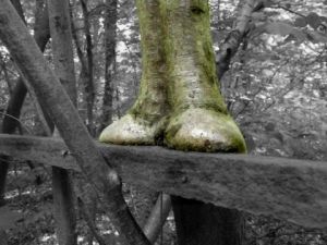Voir cette oeuvre de Paul BENICHOU: l'arbre équilibriste 
