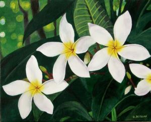 Peinture de Delphine Bothuan: Fleurs de frangipanier blanches