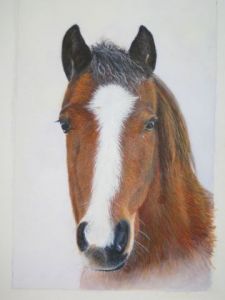 Peinture de Mikael Neel: portrait de cheval