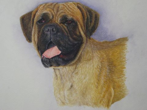 portrait de chien - Peinture - Mikael Neel d'Anceaumeville