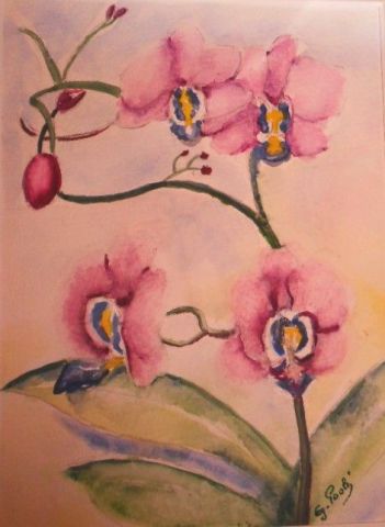 Orchidée rose - Peinture - Paoli