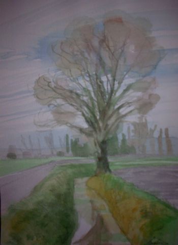 L'artiste Laurence Guillon - arbre au bord du canal