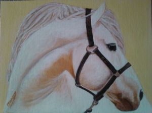 Peinture de malepere: le cheval