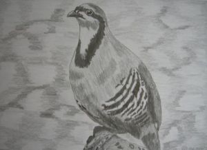 Artiste simoMabrouki