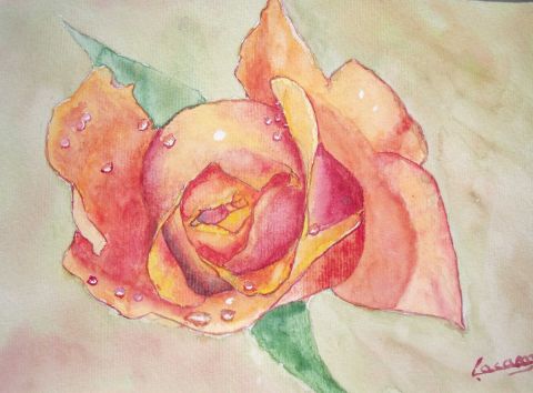 L'artiste philippe lacam - La rose