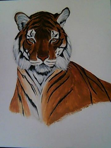 Tigre - Peinture - Chabs