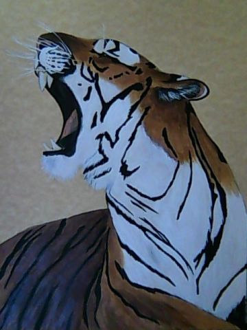 Tigre - Peinture - Chabs