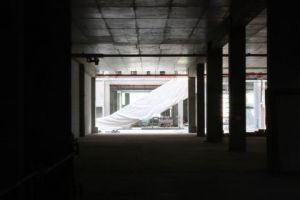 Artiste Nina Lauretis