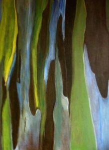 Voir cette oeuvre de Eliane Desther: Eucalyptus arc en ciel