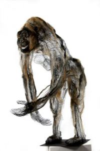 Voir cette oeuvre de Breval: gorille aquarelle