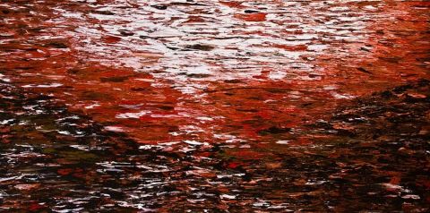 L'artiste Oria - Reflets de Rouge Mer