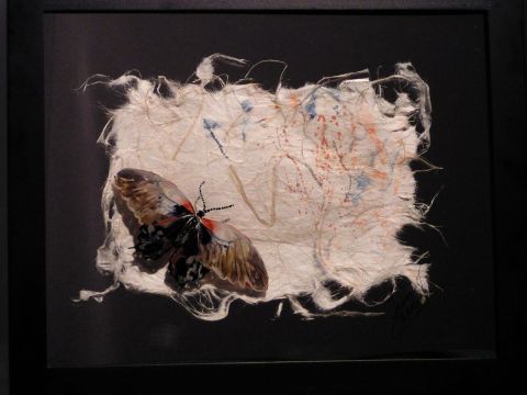 Haut Vol - Peinture - France Clermont Haut Vol - Peinture - France Clermont