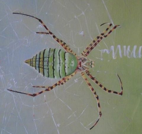 L'artiste Line - L'araignée
