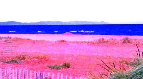 L'artiste EB - fukushima beach L'artiste EB - fukushima beach