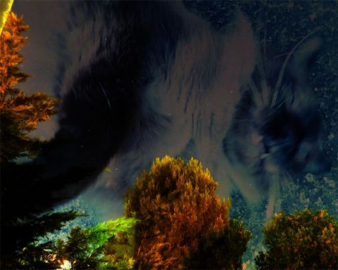 CAPOU - Art numerique - davidbernard CAPOU - Art numerique - davidbernard