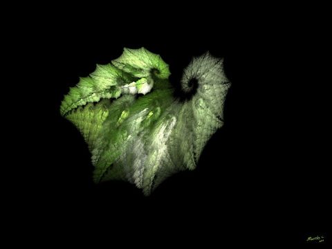 L'artiste Christophe BOURBON - Chrysalide L'artiste Christophe BOURBON - Chrysalide