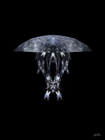 L'artiste Christophe BOURBON - Médusa fractalis L'artiste Christophe BOURBON - Médusa fractalis