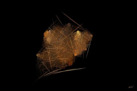 L'artiste Christophe BOURBON - Rutile L'artiste Christophe BOURBON - Rutile