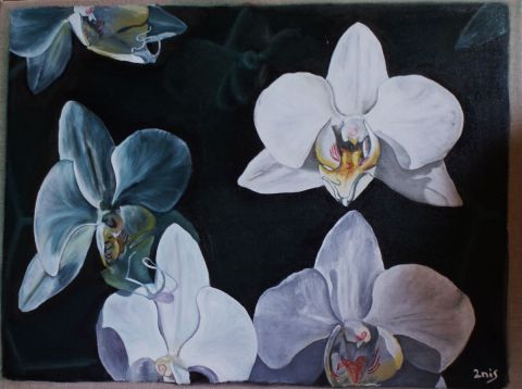 L'artiste 2nis - Réveil d'Orchidées