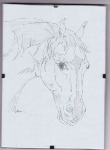 L'artiste caro petigny - cheval