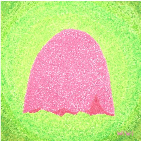 L'artiste doncastor - coquille d'oeuf rose sur fond vert