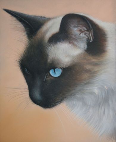 Le Chat Siamois - Peinture - Christian Michaut