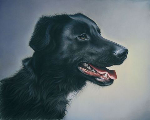 Pinceau, le chien noir - Peinture - Christian Michaut