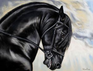 Cheval Frison Dessin Helene Roux